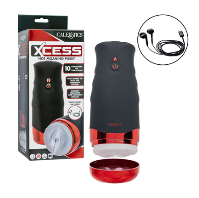 Xcess Hot Moaning Pussy