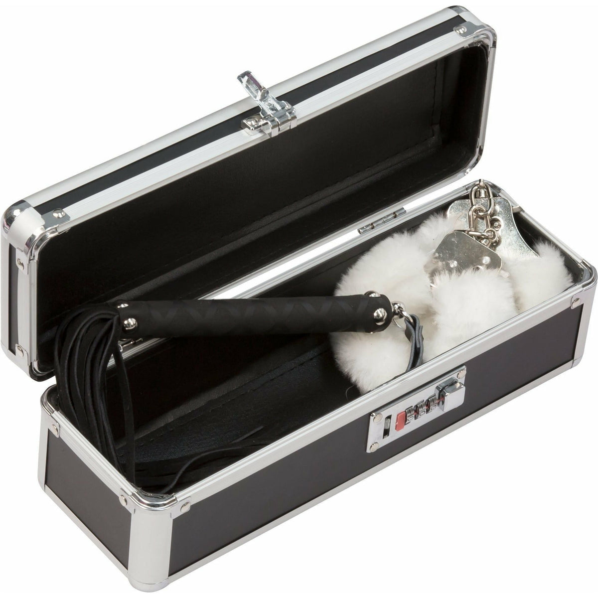 PowerBullet Simple and True - Lockable Vibrator Case - Black
